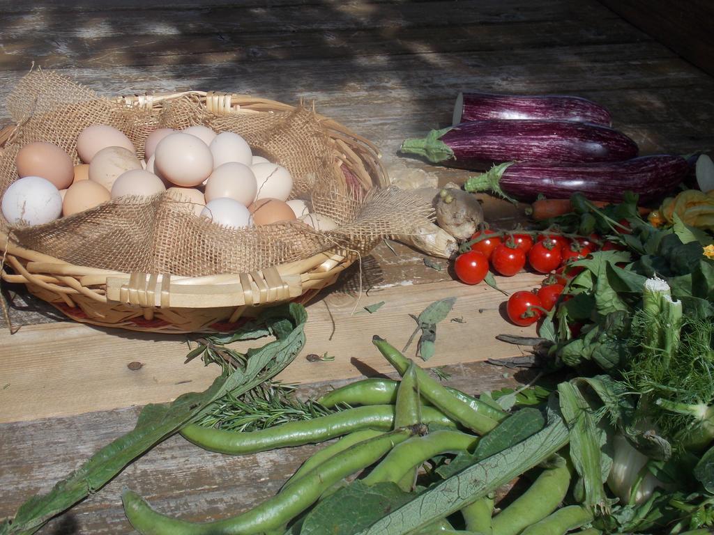Agriturismo Lucciano سان كاشّانو إنْ فال دي بيزا المظهر الخارجي الصورة
